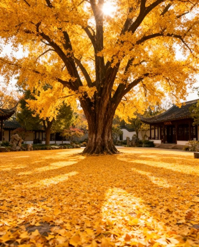 南通保姆級攻略帶你遊玩絕美景點 南通保姆級攻略帶你遊玩絕美景點