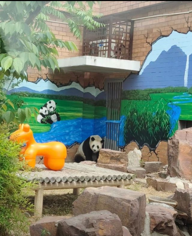 蘇州太湖濕地公園遛娃指南人少景美還出片! 蘇州太湖濕地公園遛娃指南人少景美還出片!