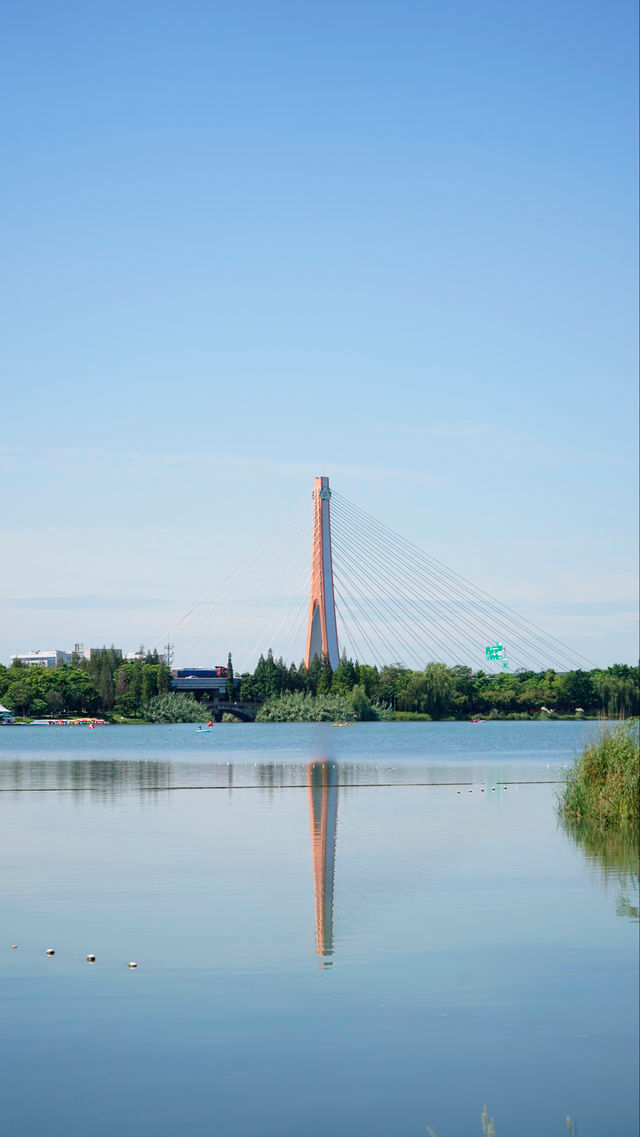 成都市區內的絕美湖景公園|錦城湖遊玩攻略  還在愁週末沒地方去嗎?錦城湖真的太香了!晴天來這裡划船, 成都市區內的絕美湖景公園|錦城湖遊玩攻略  還在愁週末沒地方去嗎?錦城湖真的太香了!晴天來這裡划船,