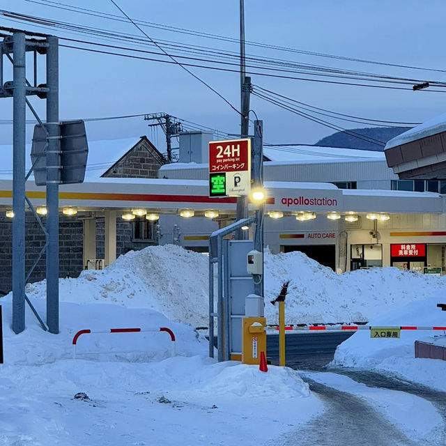 ❄️홋카이도의 눈, 하늘에서 내린 솜사탕