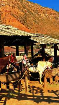 水墨丹霞絕美攝影地