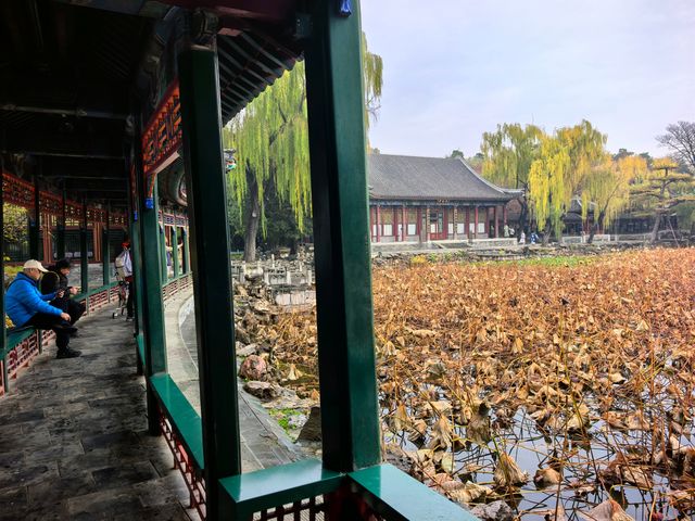 立冬時節的頤和園美圖