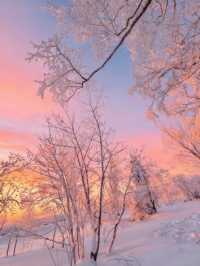 冬日霧淞奇遇記