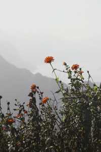 秘境湖景徒步勝地