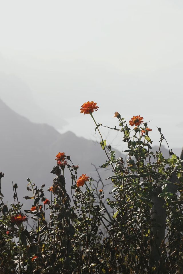 秘境湖景徒步勝地 秘境湖景徒步勝地