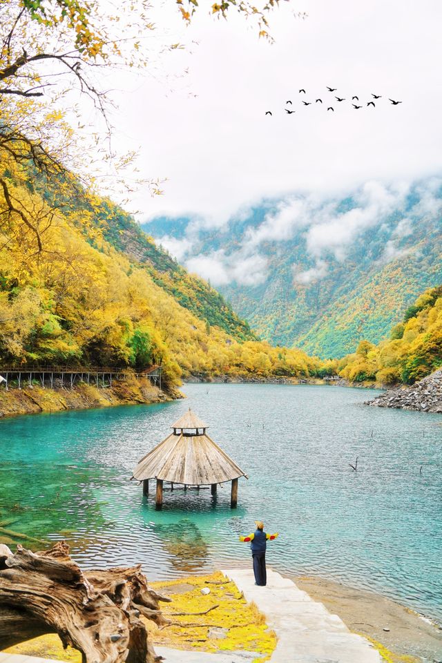 接下來的川西小九寨！堪稱秋天旅行天花板.. 限時1個月！！川西小九寨「松坪溝」秋色巔峰期來了！ 