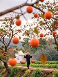 聽我的!趁還沒紅,快來溫州這個掛滿「小燈籠」的村莊!