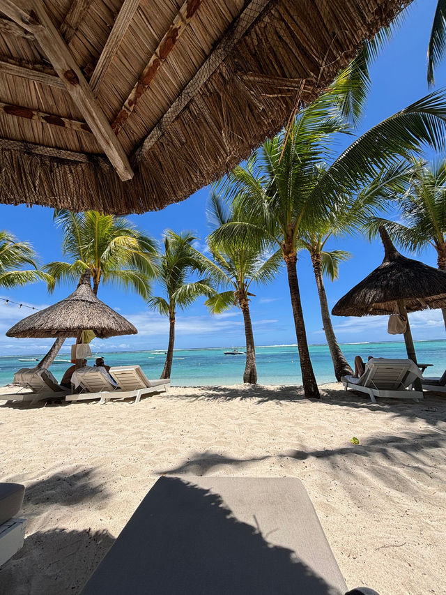 Magical Stay and Kindness Everywhere Magical Stay and Kindness Everywhere