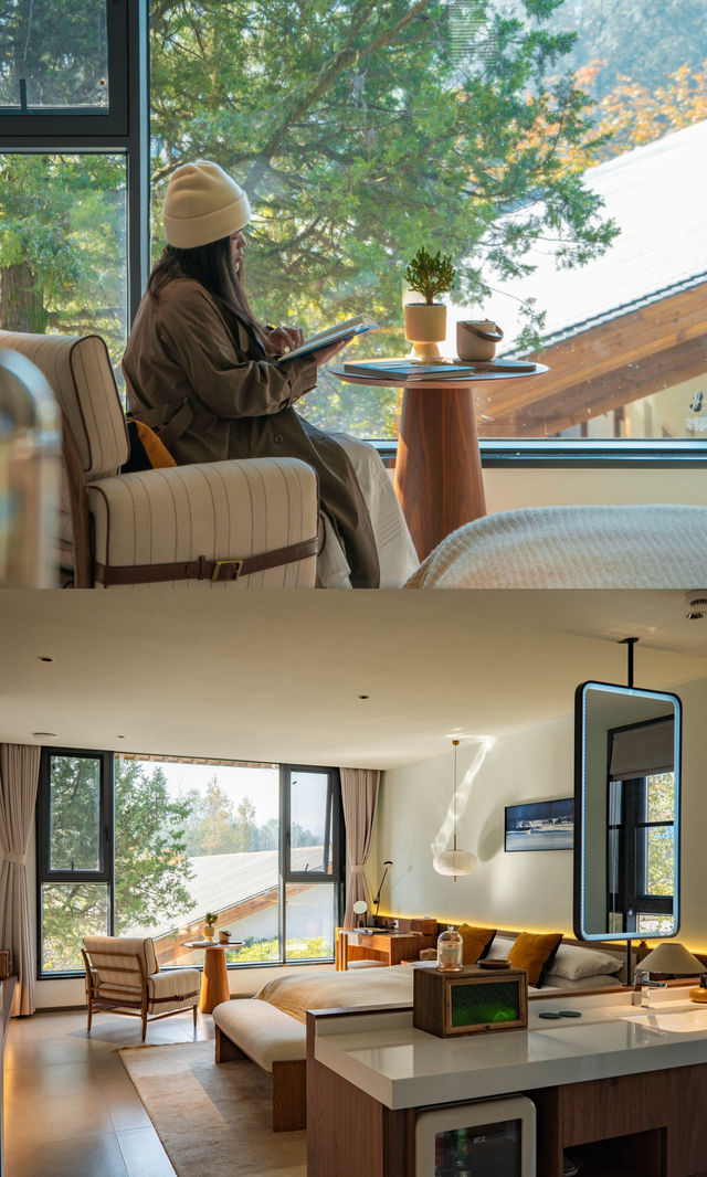 銀杏瀑布、紅葉滿山 鄭州周邊小眾賞秋路線 銀杏瀑布、紅葉滿山 鄭州周邊小眾賞秋路線