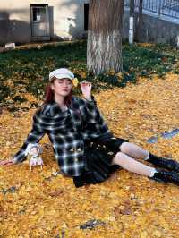 西安市區0元賞秋!索菲特銀杏大道地鐵直達的歐式浪漫