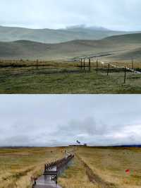 郭莽濕地,藏喺甘肅嘅夢幻仙境