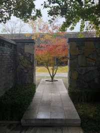 華舫庭院藏冬意,山城落葉伴清歡