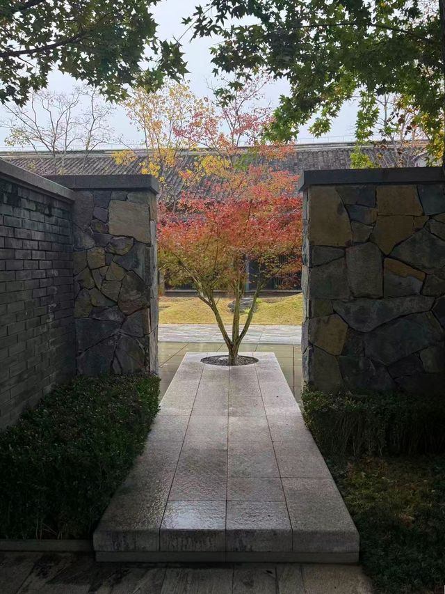 華舫庭院藏冬意,山城落葉伴清歡 華舫庭院藏冬意,山城落葉伴清歡