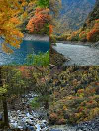 松坪溝有著「川西小九寨」的美譽