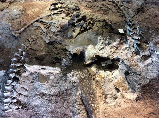 所謂「北有兵馬俑,南有恐龍谷」楚雄世界恐龍谷全攻略 所謂「北有兵馬俑,南有恐龍谷」楚雄世界恐龍谷全攻略