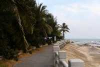 湛江,藏著一片會發光的海!這份保姆級攻略請收好!