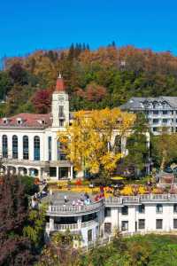 楓情莫干,醉美深秋