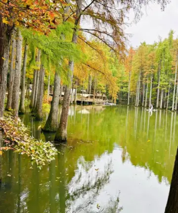 波爾登森林公園免票登山盛會