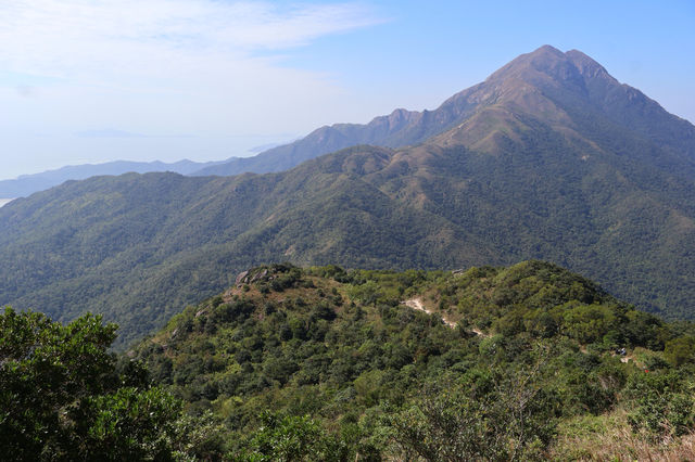 香港大東山,秋日芒草的夢幻之旅! 香港大東山,秋日芒草的夢幻之旅!