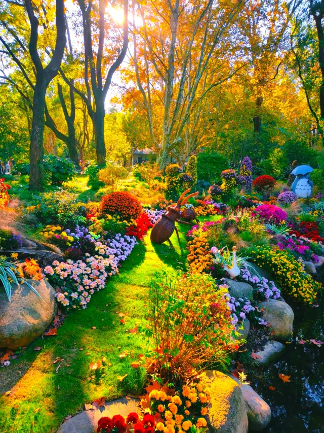 การเดินเล่นในป่าร่วมเยาวชนฤดูใบไม้ร่วง