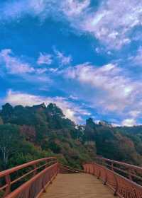 西安1h直達！輕徒步溜娃賞秋天花板！