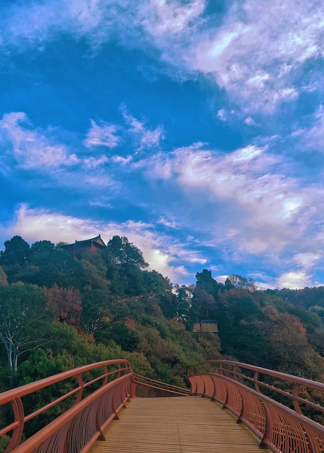 西安1h直達！輕徒步溜娃賞秋天花板！