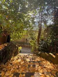 杭州周邊寶藏！紅葉指南村，秋日大片天花板