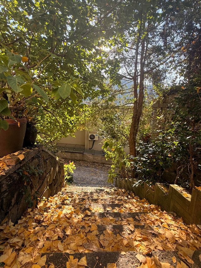 杭州周邊寶藏！紅葉指南村，秋日大片天花板