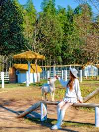 宜興這的秋天 建議去這裡