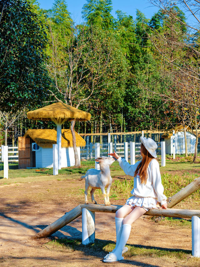 宜興這的秋天 建議去這裡