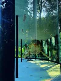 廣州4號線藏了一座「魔幻莊園」闖進末日科幻片 人少景美!