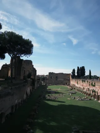 Palatine Hill! Truly the best ancient Roman historical viewing platform
