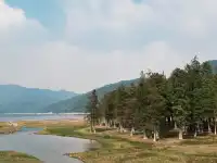 寧波畫龍村｜藏在浙東的秋日秘境，徒步+治癒