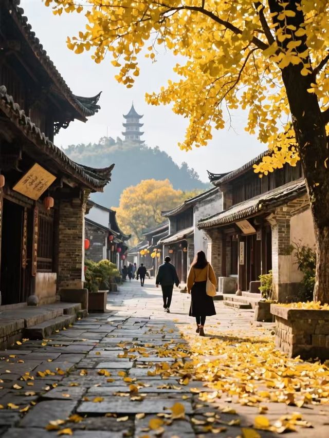 4 天 3 夜貴港深度遊，十一月的絕美秋色等你來打卡！