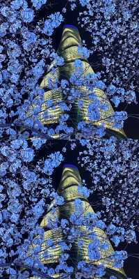 上海真的殺瘋了！！！！！！！！！！！！！