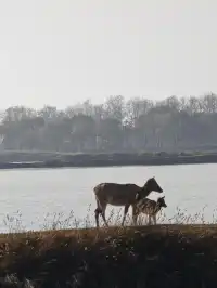 鹽城｜江蘇肯尼亞名不虛傳