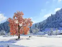 18張圖記錄我的賽里木湖庫爾德寧冰雪之旅