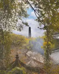秋日國清寺:在千年古剎尋一份靜謐