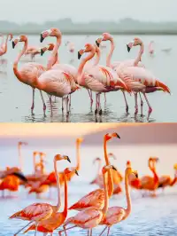 坎昆真的把我拿下了…全程躺著玩也太爽！