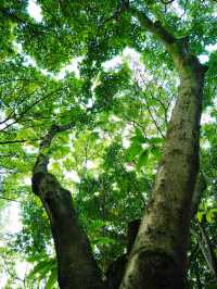 成都市區免費公園 | 升仙湖Citywalk