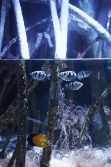 瓦倫西亞轉機4小時速通歐洲最大海洋館