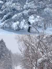 一場說走就走的雪嶺朝聖誰不愛這片北國雪鄉!