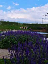 禾麒秘境 花漾田園