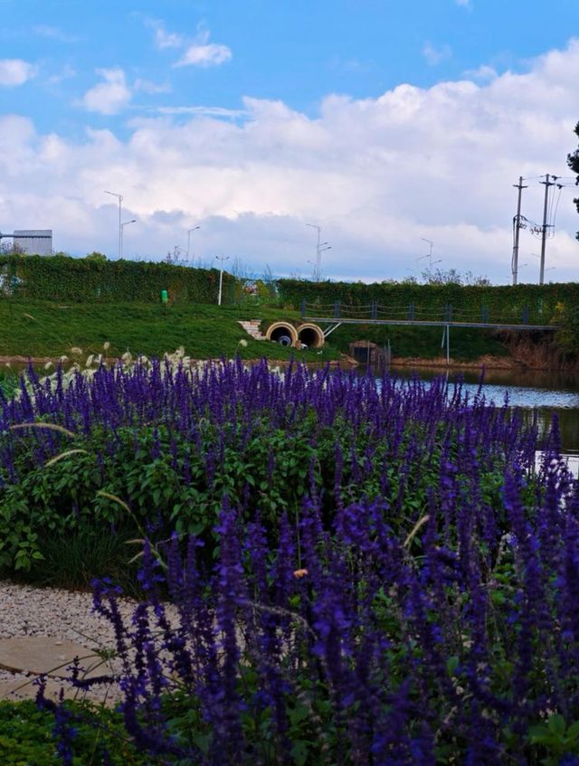 禾麒秘境 花漾田園