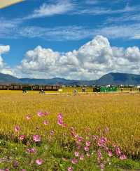 稷山縣周邊旅遊景點大全圖片