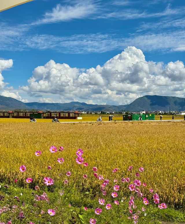 稷山縣周邊旅遊景點大全圖片 稷山縣周邊旅遊景點大全圖片