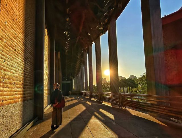 廈門金沙書院——王澍作品