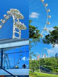 深圳這裡也太美了吧！！