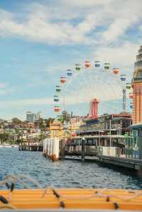 答應我！這輩子一定要在悉尼暴走一天！