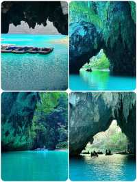 天窗花河｜闖入會開花的水下森林